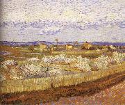 Blooming peach, Vincent Van Gogh